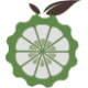 Orange Pi