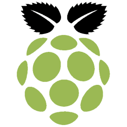 Raspberry Pi (25)