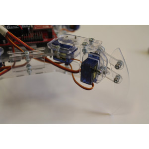 mePed White-Blue dP